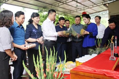Phó Bí thư Tỉnh ủy Trần Huy Phương thăm các mô hình nông nghiệp tiêu biểu tại xã Kép