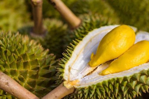 Giá sầu riêng hôm nay 30/3/2026: Thị trường đi ngang