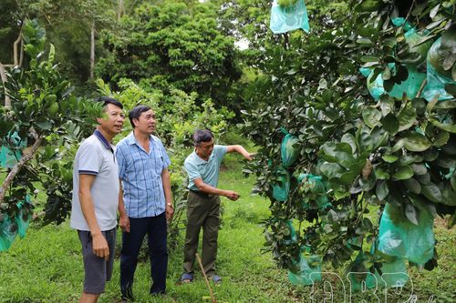 Thanh Nưa phấn đấu đạt chuẩn nông thôn mới