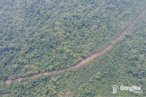 Đẩy nhanh tiến độ các dự án đường tỉnh kết nối Sân bay Long Thành