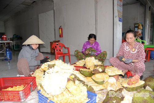 Giá mít chạm đáy, nhà vườn tất bật tách múi 'gỡ gạc'