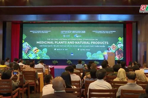 Dược liệu - điểm chạm giữa khoa học và du lịch Gia Lai 2026