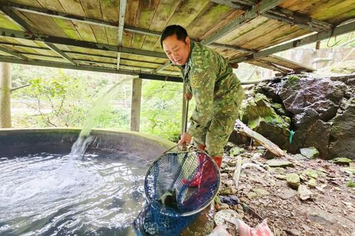 Triệu phú nuôi cá nước lạnh trên núi