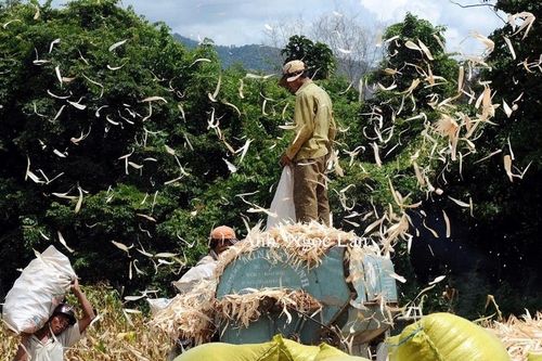 Đổi thay từ những thửa đất được cấp ở xã Đông Giang