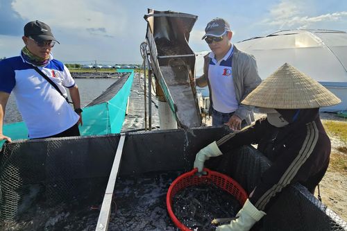 Nâng cao hiệu quả nuôi trồng thủy sản