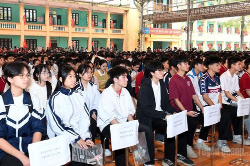 823 thí sinh đoạt giải Kỳ thi chọn học sinh giỏi cấp tỉnh lớp 11 THPT