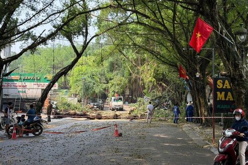 Phú Thọ: Ảnh hưởng mưa dông, nhiều tài sản và hoa màu bị thiệt hại