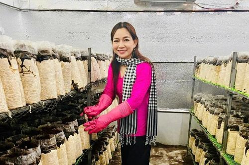 Biến rơm rạ thành 'vàng': Nữ giám đốc HTX thu 20 tấn nấm mỗi năm