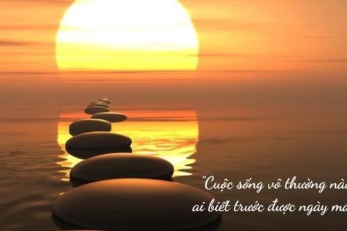 Hãy học cách sống trọn vẹn cuộc đời