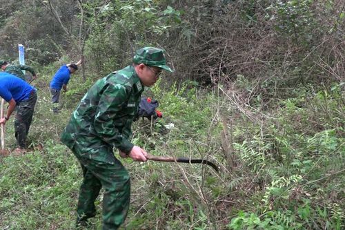 Đồn Biên phòng Quang Long phối hợp tổ chức ra quân 'Ngày Chủ nhật xanh'