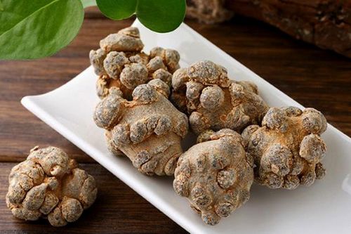 Cây tam thất có tác dụng gì? Công dụng và ai không nên dùng?