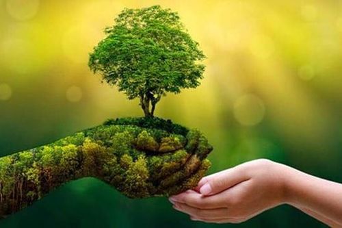 Chuyển đổi số – xanh: Động lực lớn nhưng chưa dễ 'bật công tắc' cho nông nghiệp