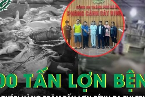 Hà Nội: Phá đường dây 'phù phép' 300 tấn lợn bệnh vào trường học, chợ dân sinh
