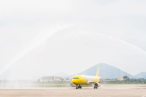 Càng bay càng lỗ, Vietravel Airlines giảm đường bay