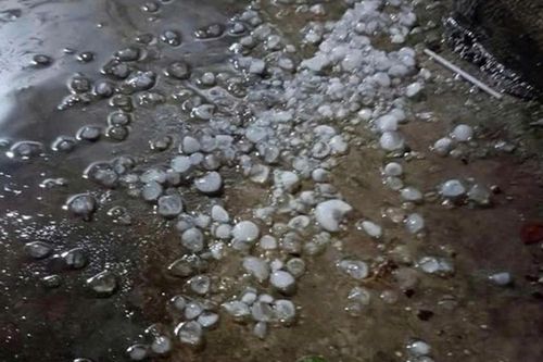 Chủ động ứng phó với giông, lốc, sét, mưa đá trong thời kỳ chuyển mùa