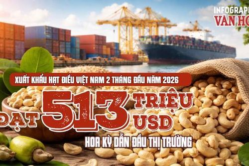 Xuất khẩu hạt điều Việt Nam 2 tháng đầu năm 2026 đạt 513 triệu USD