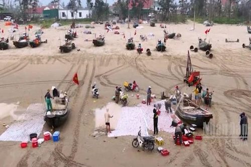 Ngư dân Hà Tĩnh trúng đậm hải sản mùa cao điểm