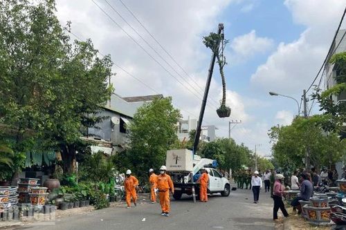 Lâm Đồng: Xe cẩu chạm trúng dây điện làm hơn 12.000 khách hàng mất điện