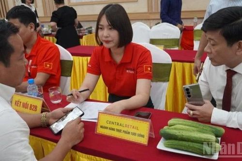 55 doanh nghiệp, hợp tác xã tại Hà Tĩnh tham gia kết nối cung cầu với Hệ thống siêu thị GO!