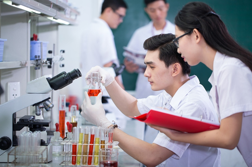 Thu hút nhân tài vào khu vực công