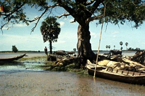 'Diện mạo điện ảnh Việt Nam thời kỳ Đổi mới' – Tôn vinh và kết nối di sản điện ảnh tại DANAFF IV