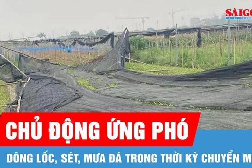 Đề nghị các địa phương chủ động ứng phó mưa đá, dông lốc, sét