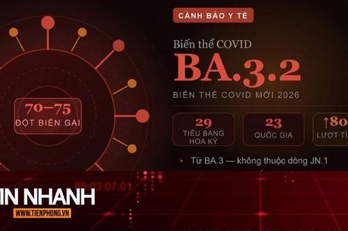 TIN NHANH: Biến thể Covid-19 've sầu' mới được Bộ Y tế cảnh báo có nguy hiểm không?