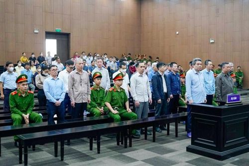 Phó giám đốc Công ty Hoàng Dân khai được trấn an 'việc này để giám đốc lo'