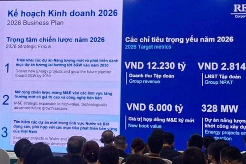 REE dự tính đầu tư tỷ USD vào điện gió ngoài khơi