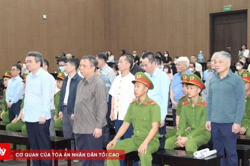 Từ Canada, cựu Phó Cục trưởng Bộ NN&PTNT gửi đơn tới HĐXX