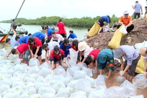 Quảng Ninh thả 3,6 triệu giống thủy sản tại vùng ngập nước