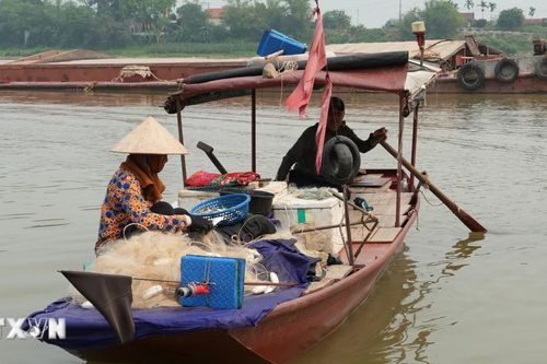 Hưng Yên: Nhộn nhịp vào mùa đánh bắt cá mòi