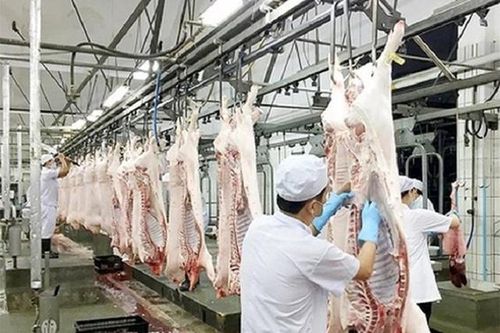 Thủ tướng chỉ đạo chấn chỉnh công tác kiểm dịch của lực lượng thú y