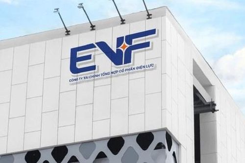 Đại hội đồng cổ đông EVF 2026: Lần đầu trình lập Quỹ trách nhiệm xã hội