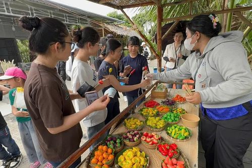 Chợ quê Đồng Tháp mở sinh kế, nâng thu nhập cho nông dân