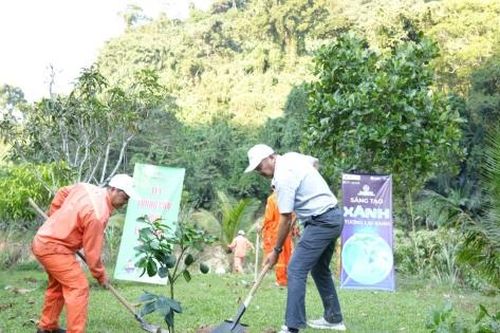 Thủy điện Sông Bung phát động Tết trồng cây và hưởng ứng Giờ Trái đất