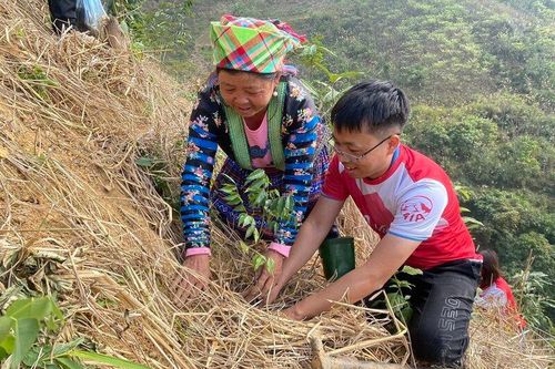 Sùng A Cải: Từ trồng rừng đến tạo sinh kế cho người dân vùng cao