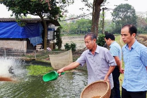 Hiệu quả cao từ thâm canh thủy sản