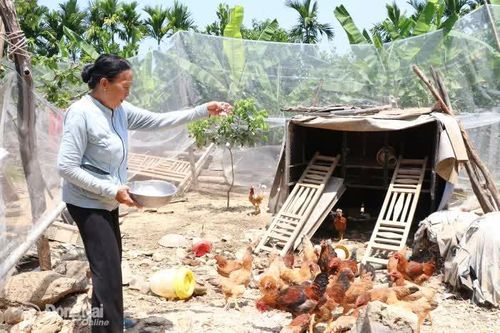 Thanh Sơn chú trọng công tác an sinh xã hội