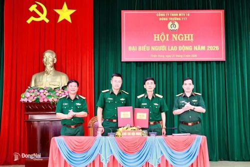 Nông trường 717 nâng cao hiệu quả sản xuất, kinh doanh gắn với chăm lo đời sống người lao động