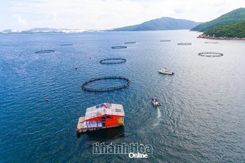 Chào mừng kỷ niệm 67 năm Ngày truyền thống ngành Thủy sản Việt Nam (1-4-1959 - 1-4-2026): Phát triển bền vững ngành Thủy sản