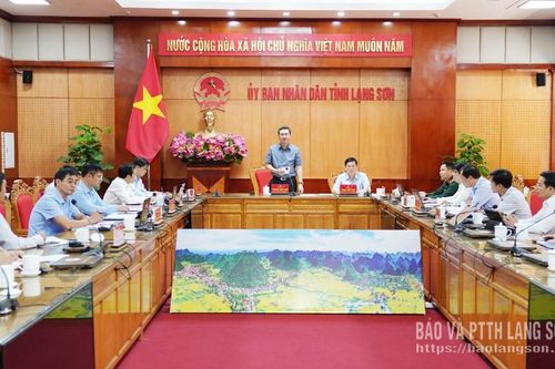 Tập trung tháo gỡ khó khăn, đẩy nhanh đầu tư các dự án điện gió
