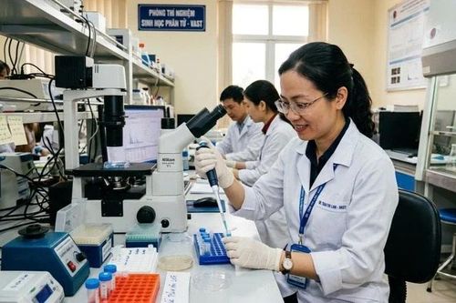 Đối tượng nào được ký hợp đồng lao động trong đơn vị sự nghiệp công lập?