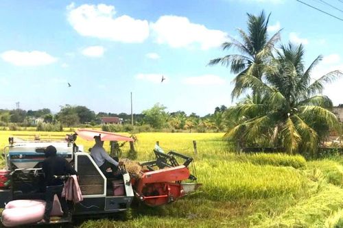 Phát triển sản xuất gắn với xây dựng nông thôn mới
