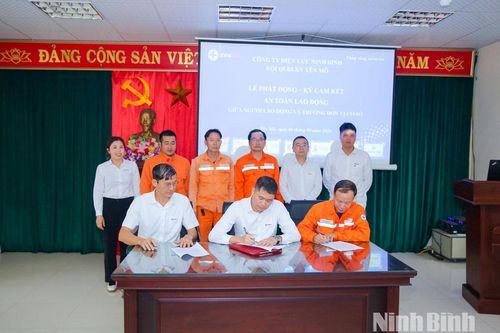 EVN Ninh Bình tăng cường công tác đảm bảo an toàn lao động