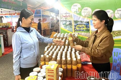 Phát triển tài sản trí tuệ - nâng tầm thương hiệu sản phẩm