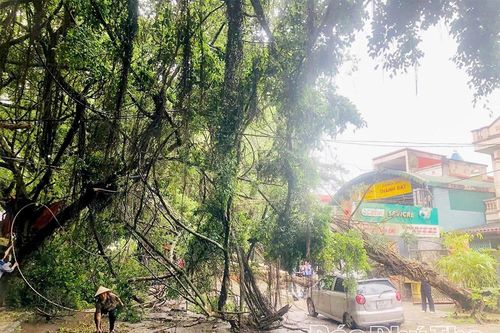 Chủ động ứng phó với mưa dông, lốc, mưa đá và các hiện tượng thời tiết nguy hiểm