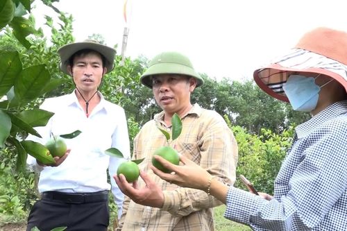 Sản xuất an toàn, nâng tầm giá trị nông sản