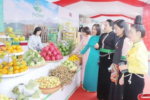 Đẩy mạnh xúc tiến thương mại, xuất khẩu hàng hóa