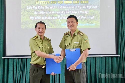 Phối hợp bảo vệ rừng khu vực giáp ranh Tuyên Quang – Thái Nguyên